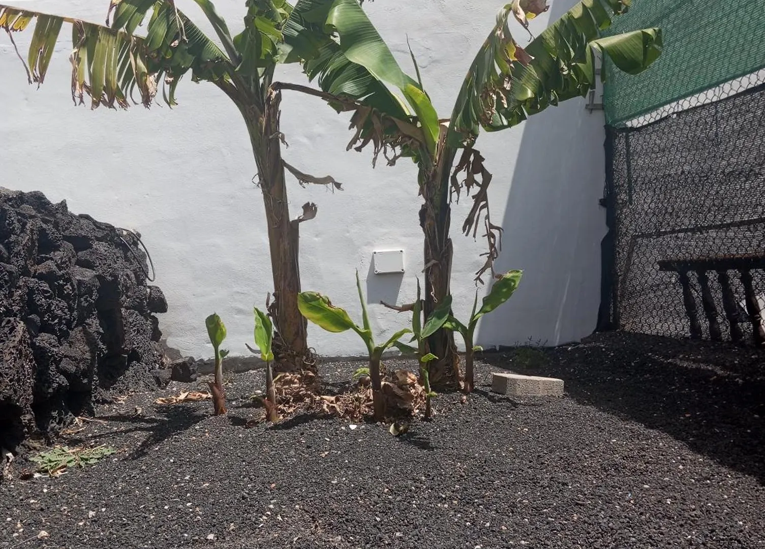 Villa Casa Siempreviva Teguise  0*, Teguise (Lanzarote)