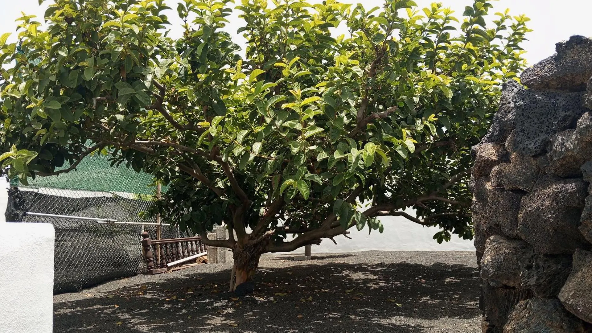 Villa Casa Siempreviva Teguise  Teguise (Lanzarote)